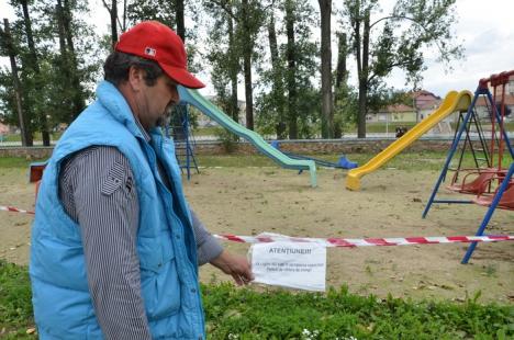 Ciopârţire în masă! ADP a retezat plopii din Ştrandul Municipal la 14 metri, la cât au ajuns drujbele RER Ecologic