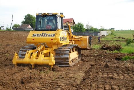 Parcul din pădure: Un primar a ras 2,6 hectare de salcâmi ca să facă un parc, deşi nu are bani (FOTO)