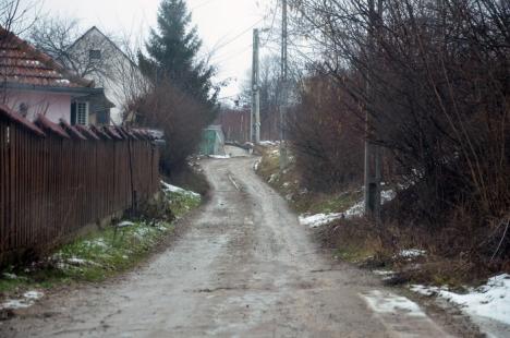 Satul din Oradea: Locuitorii din cartierul Podgoria duc o viaţă de ţărani din vârf de munte (FOTO)