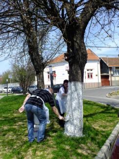 La muncă voluntară: Angajaţii Companiei de Apă au pregătit de primăvară zona verde din Dealul Păcii (FOTO)