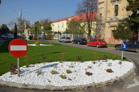 Roţi vs. Rădăcini: Parcarea de pe Dunării a devenit spaţiu verde (FOTO)