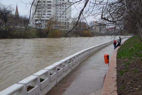 Peste 600 de hectare de teren inundate după ploile din weekend (FOTO)