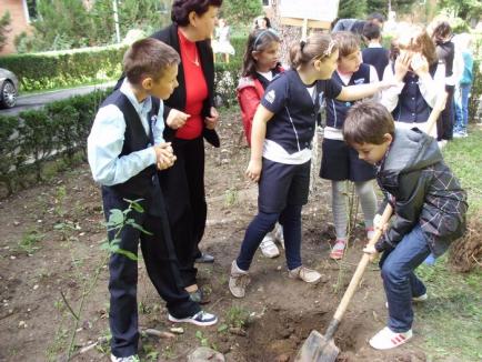 Au plantat copaci, pentru pace! (FOTO)