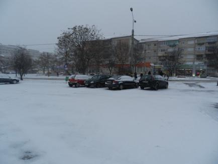 Oradea sub zăpadă: RER acţionează cu 20 de utilaje (FOTO)