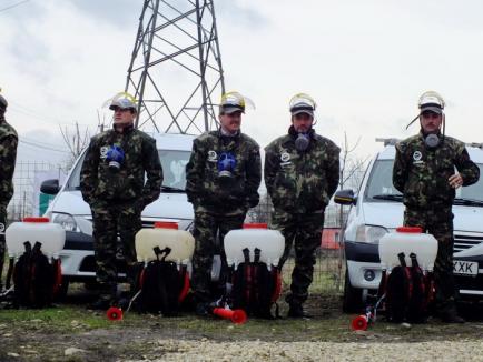 Oradea, curăţată de gângănii şi rozătoare cu tehnici noi (FOTO)