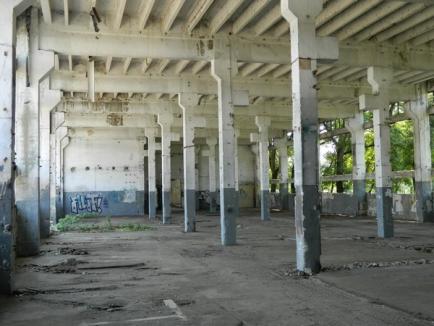 Fantomele industriale: Fabricile orădene care şi-au închis porţile lovite de criză au umplut oraşul de ruine abandonate (FOTO)