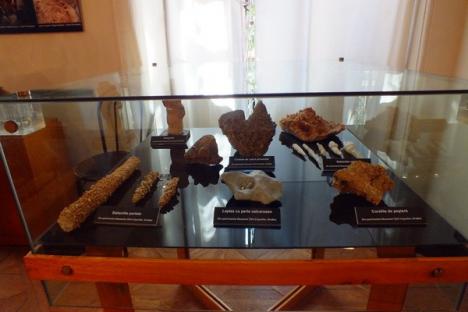 Orădenii pot face cunoştinţă cu lumea peşterilor într-o expoziţie a Muzeului (FOTO)