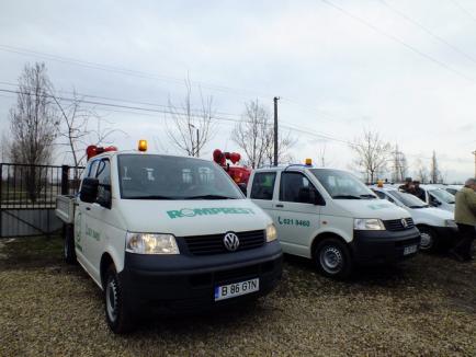 Oradea, curăţată de gângănii şi rozătoare cu tehnici noi (FOTO)