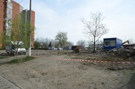 Parcare cu "defrişare": Angajaţii Drumuri Bihor au doborât, fără aviz, un copac pentru a face loc parcării din zona străzii Sovata (FOTO)