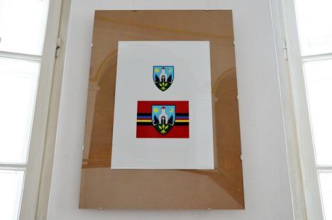 Ce mai coace PPMT: un steag al Regiunii Partium, după modelul celui al Ţinutului Secuiesc (FOTO)