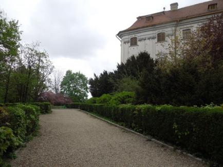 Verde înnourat: Ce urmăreşte Episcopia Romano-Catolică prin atacul la Bolojan (FOTO)