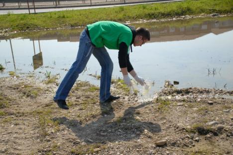 Cu mâna pe făraş! Campania de curăţenie de primăvară se încheie joi (FOTO)