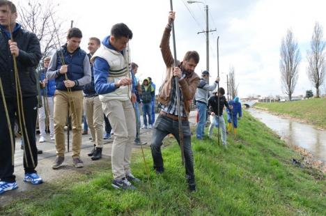 Jucătorii echipei FC Bihor au plantat sălcii pe malul Peţei (FOTO)