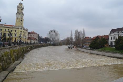 Peste 600 de hectare de teren inundate după ploile din weekend (FOTO)