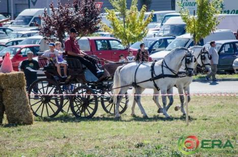 Târgul fermierilor Agro Bihor, la ERA Park: Concurs de atelaje, expoziţii de animale şi utilaje, dar şi un super spectacol cu Aurel Tămaş! (FOTO)