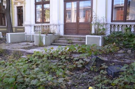 Oradea ieri, Oradea azi: Casa Léda, îngropată de buruieni din nepăsarea liderilor UDMR (FOTO)