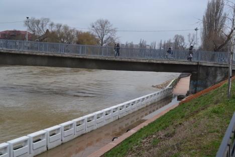 Peste 600 de hectare de teren inundate după ploile din weekend (FOTO)