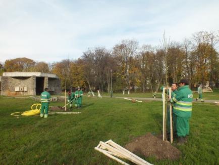 RER Ecologic Service a terminat plantările de toamnă (FOTO)
