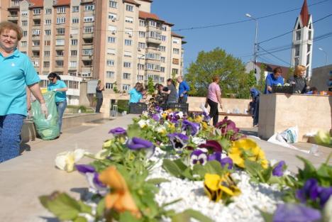 Dealul panseluţelor: Sute de flori plantate de copii lângă fântâna Companiei de Apă (FOTO)