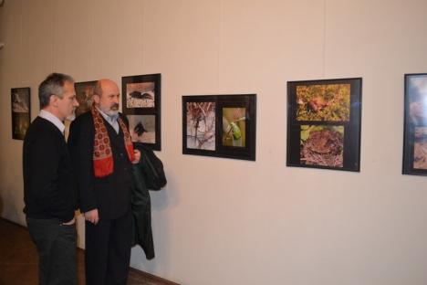 Fotografii cu specii rare de animale şi plante din siturile protejate ale judeţului, expuse la Muzeul Ţării Crişurilor (FOTO)