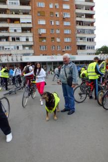 Bicicleta, cel mai rapid mijloc de transport în Oradea. Peste 500 de orădeni au pedalat victorioşi prin oraş (FOTO/VIDEO)