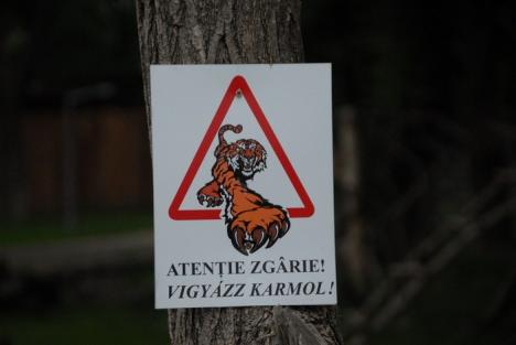 S-a decis: Grădina Zoologică se deschide pe 27 mai (FOTO)