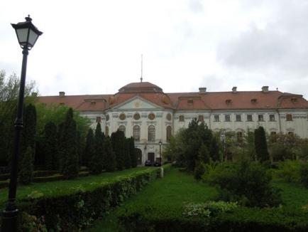 Verde înnourat: Ce urmăreşte Episcopia Romano-Catolică prin atacul la Bolojan (FOTO)