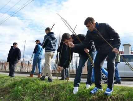 Jucătorii echipei FC Bihor au plantat sălcii pe malul Peţei (FOTO)