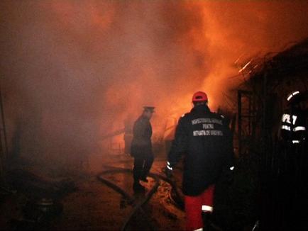 Atelier de tâmplărie distrus într-un incendiu la Salonta (FOTO/VIDEO)