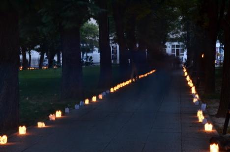 Mii de "licurici" au înveselit Parcul 1 Decembrie. Festivalul luminii i-a scos pe orădeni din case (FOTO)
