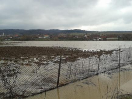 Peste 600 de hectare de teren inundate după ploile din weekend (FOTO)