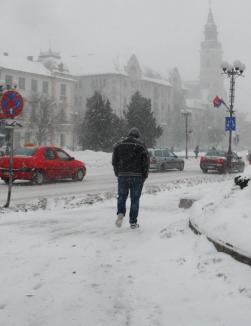 S-a întors zăpada, ninge viscolit în Oradea! Selina a fost chemată în ajutorul RER (FOTO)