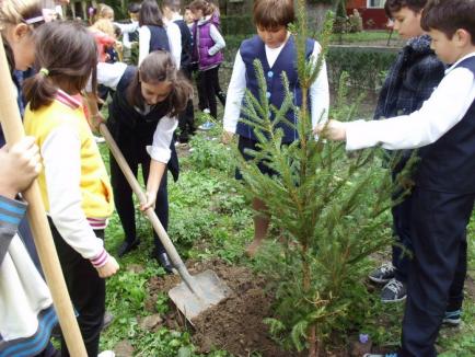 Au plantat copaci, pentru pace! (FOTO)