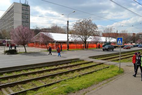 La începutul lunii aprilie, pieţarii din sectorul de legume-fructe se mută la "cort" (FOTO)