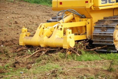 Parcul din pădure: Un primar a ras 2,6 hectare de salcâmi ca să facă un parc, deşi nu are bani (FOTO)