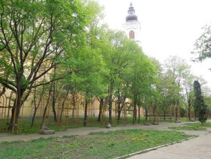 Verde înnourat: Ce urmăreşte Episcopia Romano-Catolică prin atacul la Bolojan (FOTO)