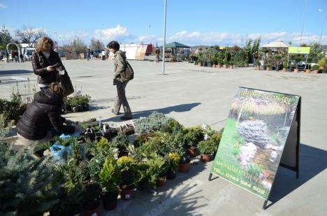 Cele mai noi tendinţe de amenajare de grădini şi terase, la Lotus Center (FOTO) 