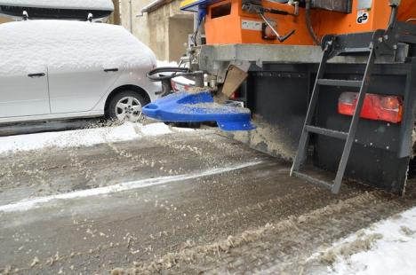 Bihorul, fără probleme mari din cauza zăpezii. În Oradea s-a intervenit cu 21 de utilaje (FOTO)