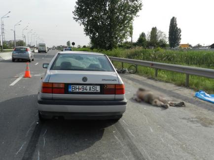 Accident mortal pe centură: un bătrân a fost omorât pe zebră! (FOTO)