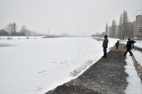 Zăpada a acoperit Oradea. Echipajele RER acţionează pentru curăţarea drumurilor (FOTO)