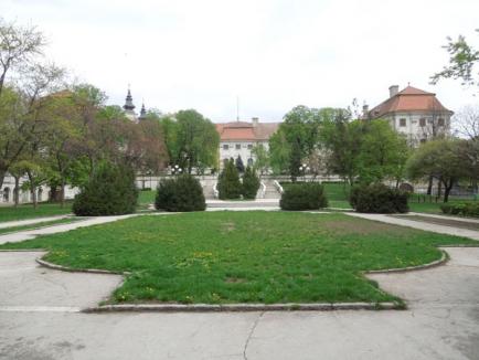 Verde înnourat: Ce urmăreşte Episcopia Romano-Catolică prin atacul la Bolojan (FOTO)