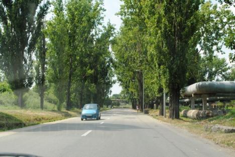 Lucrările la drumul uzinal II dintre cartierul Episcopia de Şoseaua Borşului au fost recepţionate (FOTO)