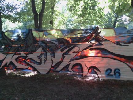 Grafitti între copaci: Doi tineri cer locuri "legale" pentru arta străzii (FOTO)