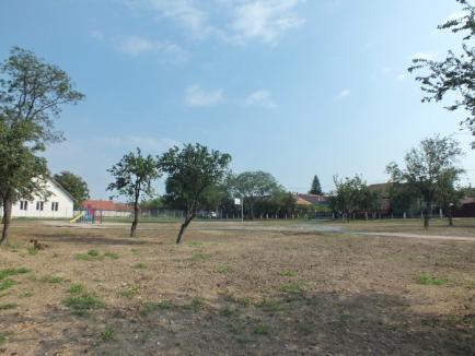 Parc cu teren de baschet şi tobogane pentru copiii din Oncea (FOTO)