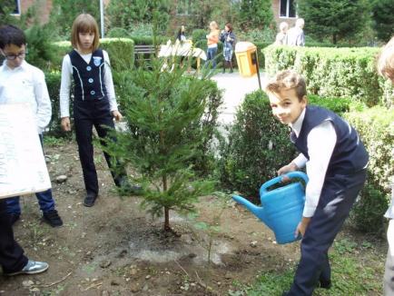 Au plantat copaci, pentru pace! (FOTO)