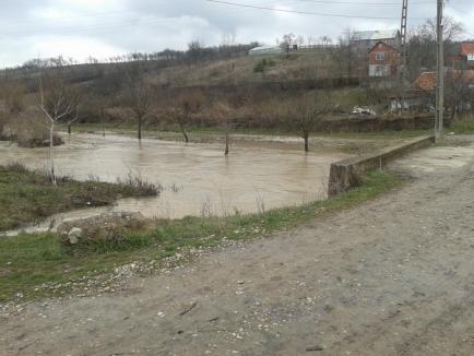 Peste 600 de hectare de teren inundate după ploile din weekend (FOTO)