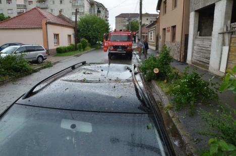 Furtuna în Oradea: Golf avariat, după ce un copac s-a prăbuşit peste el (FOTO)