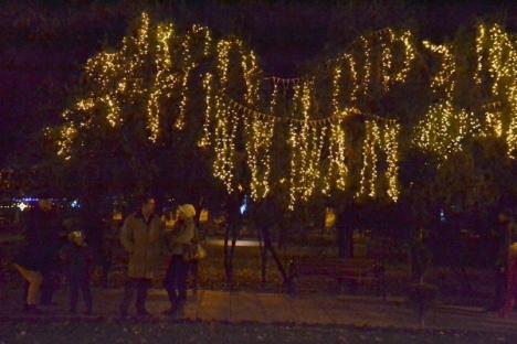 Oradea a îmbrăcat straie de sărbătoare: copiii au aprins ghirlandele de Crăciun (FOTO) 