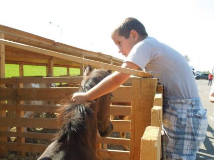 Veselie la ERA Park: Concursul de atelaje şi plimbările pe ponei i-au cucerit pe copii (FOTO)