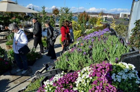 Cele mai noi tendinţe de amenajare de grădini şi terase, la Lotus Center (FOTO) 